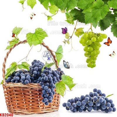 File gốc File in kính bếp KB2040 (PNG) không nền chất lượng