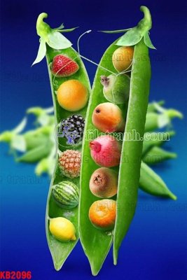 File gốc File in kính bếp KB2096 (cho in ấn) độc quyền