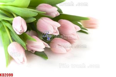 Tải file File in kính bếp KB2099 (gốc) làm file quảng cáo