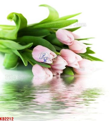 File gốc File in kính bếp KB2212 (chủ đề hiện đại) trang trí