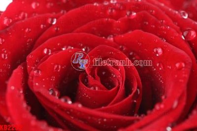 File gốc File in kính bếp KB2232 (PSD/TIFF) độ phân giải cao