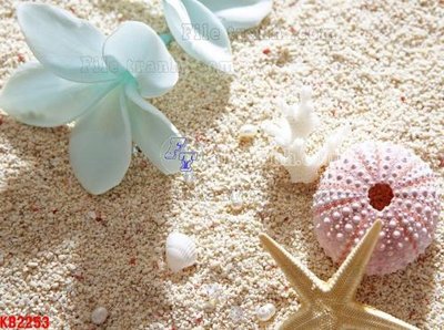 Download file gốc File in kính bếp KB2253 (in mica) trong suốt