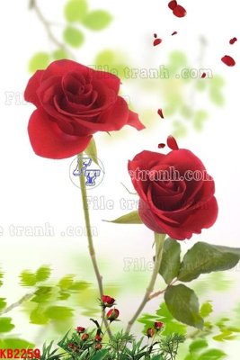 Tải file gốc File in kính bếp KB2259 (in tráng gương) cao cấpFile gốc File in kính bếp KB2259 (in ấn) phiên bản độc quyền