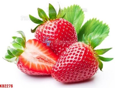 File in ấn File in kính bếp KB2276 chuyên nghiệp