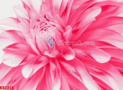 File ảnh File in kính bếp KB2315 (gốc) in decal dán tường