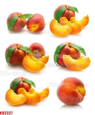 Mua file gốc File in kính bếp KB2337 (in ấn) tại Filetranh.com