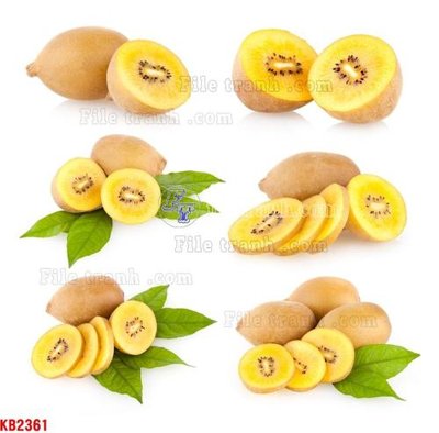 File gốc File in kính bếp KB2361 (in lụa) tranh phong thủy