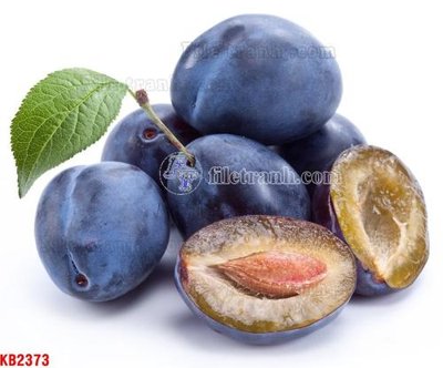 Download file tranh File in kính bếp KB2373 (file gốc PSD)