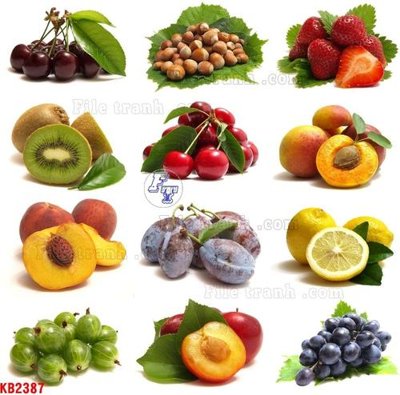 Tải về file tranh gốc File in kính bếp KB2387 (để in quảng cáo)