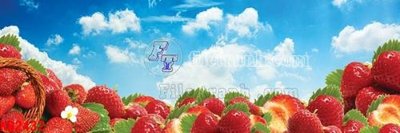 Tải file File in kính bếp KB2432 (gốc) in nhanh