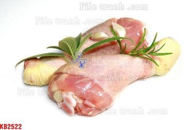 Ảnh gốc File in kính bếp KB2522 (độ nét cao) in tráng gương