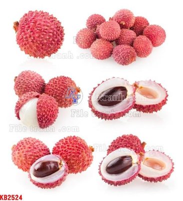 Tải file PSD File in kính bếp KB2524 (nguyên layer) để in