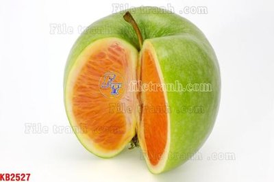 Tải file tranh File in kính bếp KB2527 (gốc) tại Filetranh.com