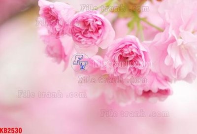 File gốc File in kính bếp KB2530 (PNG) không nền chất lượng