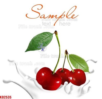 File in trần File in kính bếp KB2535 (bản gốc 3D) sống động