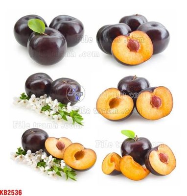 File gốc File in kính bếp KB2536 (in ấn) không giới hạn