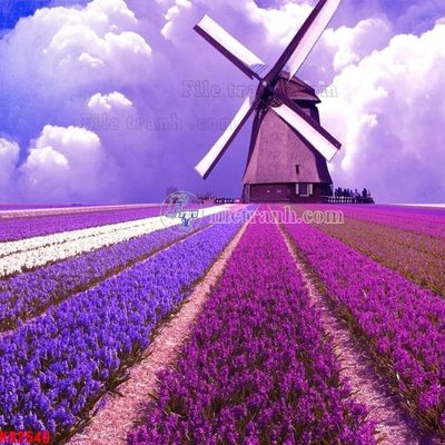 Ảnh gốc File in kính bếp KB2540 (nét căng) in mica