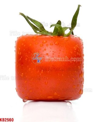 File gốc File in kính bếp KB2560 (ảnh chi tiết) để in ấn