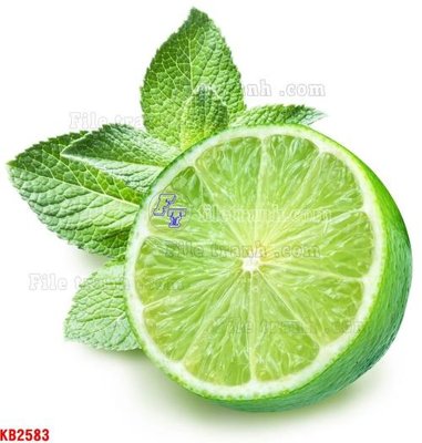 File tranh File in kính bếp KB2583 (gốc) chủ đề thiên nhiên