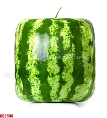 File in trần File in kính bếp KB2596 (file gốc) hoa văn 3D