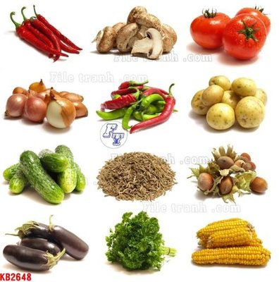 File in trần File in kính bếp KB2648 (bản gốc 3D) sống động