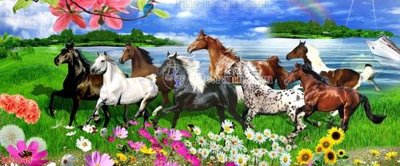 File gốc File in kính bếp KB3048 (vector) cho in ấn