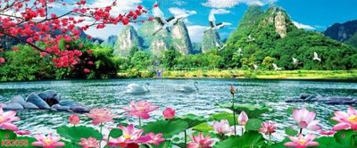 File gốc File in kính bếp KB3058 (in tráng gương) sang trọng