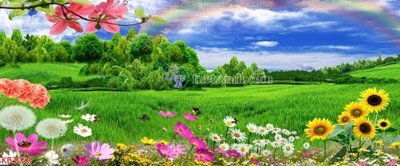 Tải file File in kính bếp KB3076 (gốc) chủ đề phong thủy