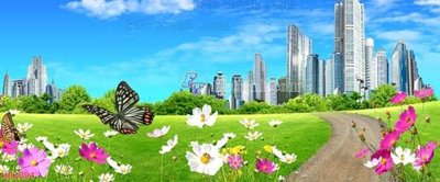 File in trần File in kính bếp KB3094 (bản gốc) bầu trời