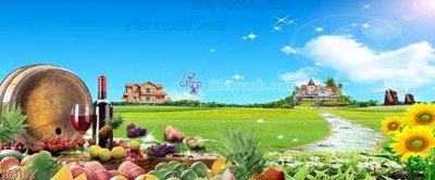 File tranh gốc File in kính bếp KB3101 (bản quyền) độc đáo