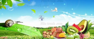 File tranh File in kính bếp KB3109 (ảnh gốc) in trần nhà