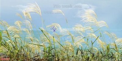 File ảnh File in kính bếp KB3125 (gốc) cho trang trí nhà hàng