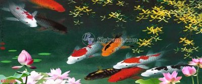 File PSD File in kính bếp KB3196 (gốc) cho designer