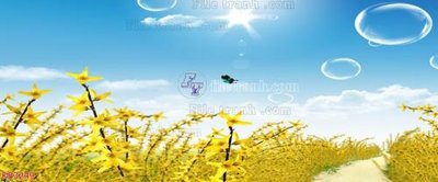 File gốc File in kính bếp KB3249 (thiết kế) độc quyền