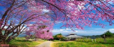 File tranh File in kính bếp KB3310 (ảnh gốc) độ nét vượt trội