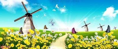 File gốc File in kính bếp KB3318 (in tráng gương) hiện đại