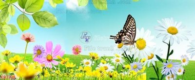 Download file gốc File in kính bếp KB3328 (in mica) 3D