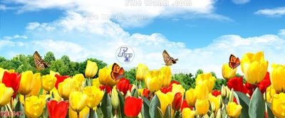 Mua file gốc File in kính bếp KB3347 (PSD) tại Filetranh.com