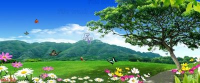 Hình ảnh file gốc in trần nhà File in kính bếp KB3350