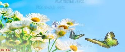 File in mica File in kính bếp KB3386 (ảnh gốc) đẹp