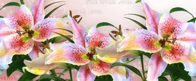 File gốc File in kính bếp KB3393 (ảnh chi tiết) để in ấn