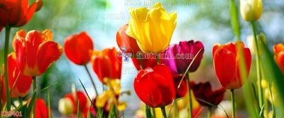 File gốc in ấn File in kính bếp KB3401 chuẩn màu CMYK