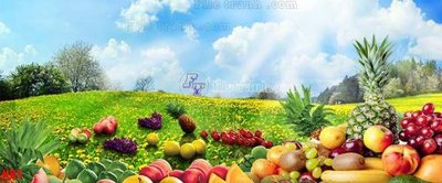 File gốc in mica File in kính bếp KB5 chất lượng