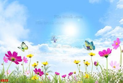 File gốc File in kính bếp KB58 (trang trí) phòng trẻ em