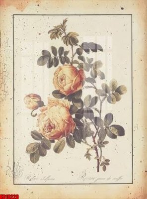 File tranh File tranh in décor tranh treo tường tổng hợp KD10228 (file gốc) chủ đề phong thủy