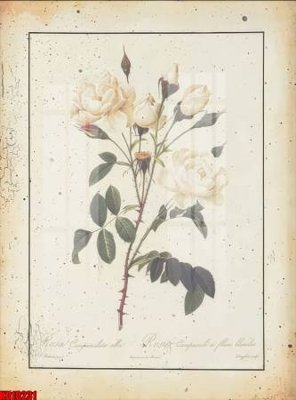 File in ấn chuyên nghiệp File tranh in décor tranh treo tường tổng hợp KD10231 (file gốc)