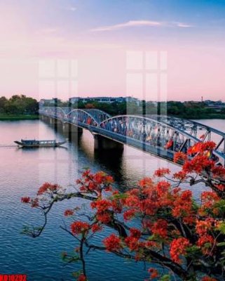 File gốc File tranh in décor tranh treo tường tổng hợp KD10292 (in mica) cắt laser