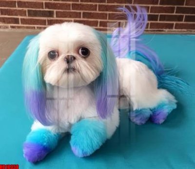 File gốc File tranh in décor tranh treo tường tổng hợp KD10358 (in ấn) màu sắc trung thực