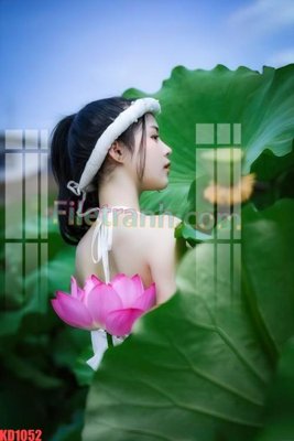 Tải file gốc File gốc in tranh nền tường tổng hợp KD1052 (để in lụa)