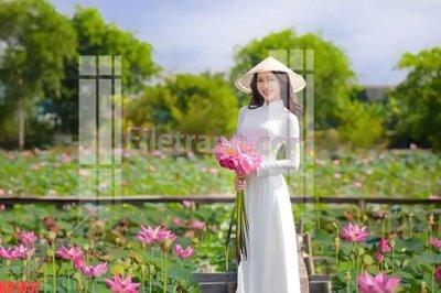 File gốc File gốc in tranh nền tường tổng hợp KD1057 (vector) cho in ấn